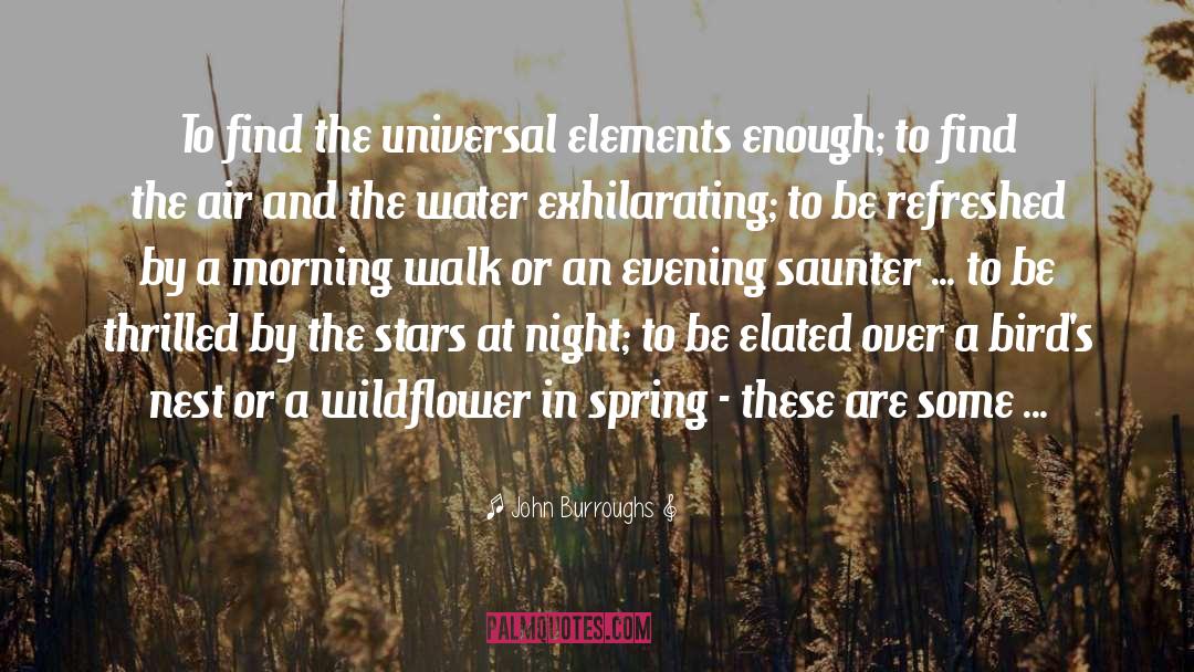 Morning Walk quotes by John Burroughs