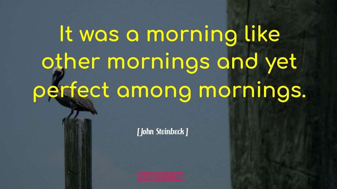 Mornings quotes by John Steinbeck