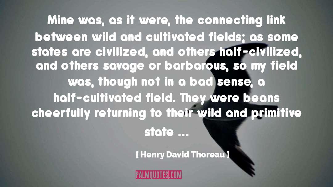 Morphic Fields quotes by Henry David Thoreau
