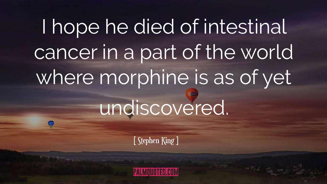 Morphine quotes by Stephen King