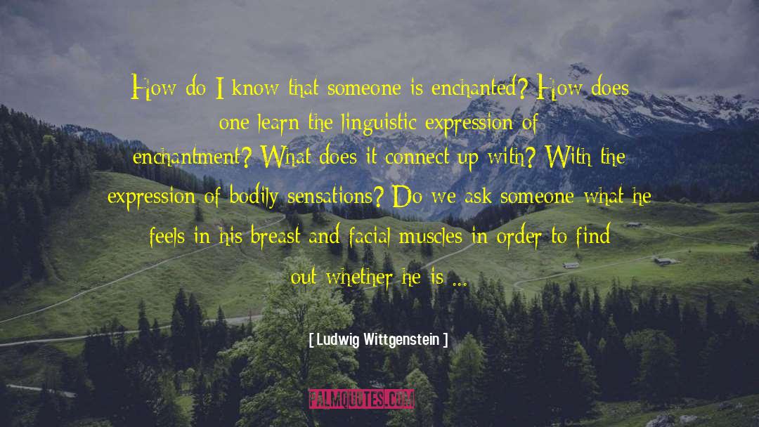 Mortal Enchantment quotes by Ludwig Wittgenstein