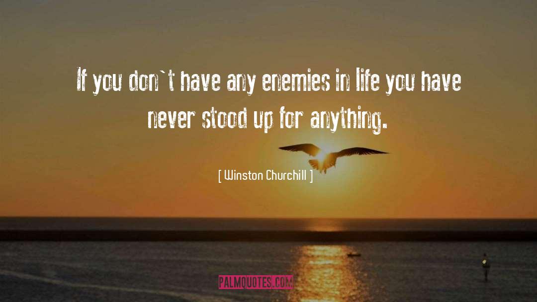 Mortal Enemies quotes by Winston Churchill