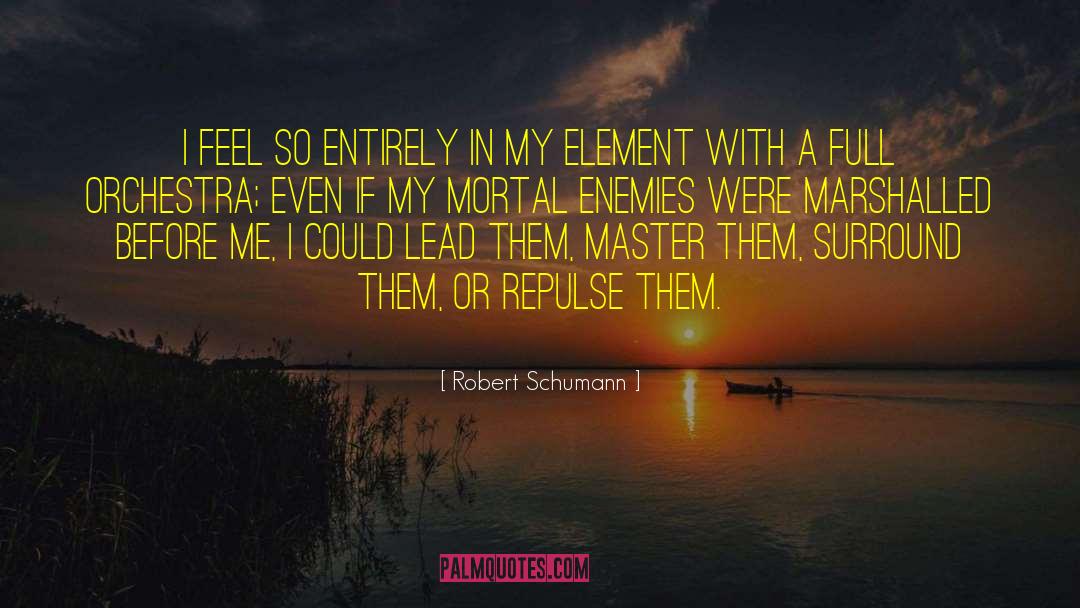 Mortal Enemies quotes by Robert Schumann