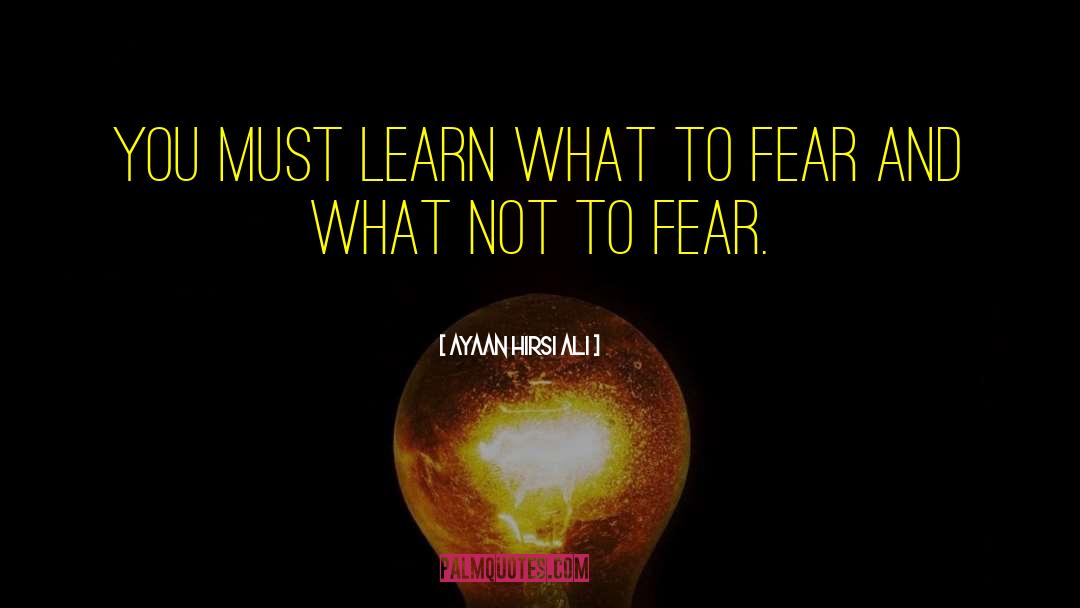 Mortal Fear quotes by Ayaan Hirsi Ali