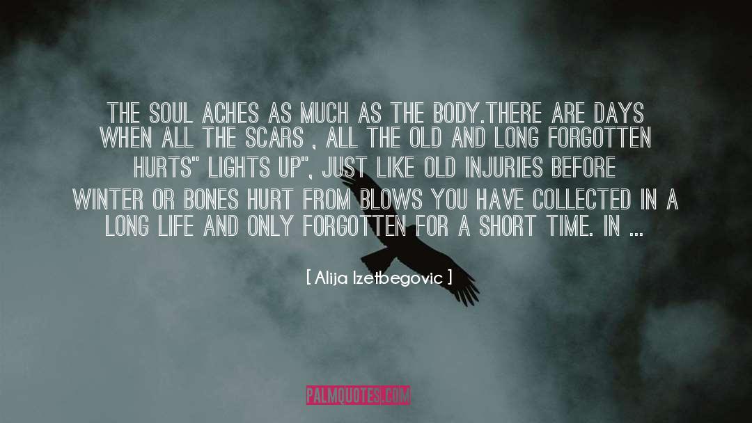 Mortal Wound quotes by Alija Izetbegovic