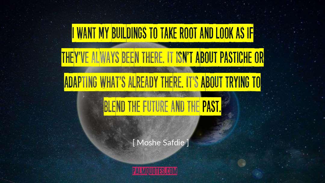 Moshe quotes by Moshe Safdie