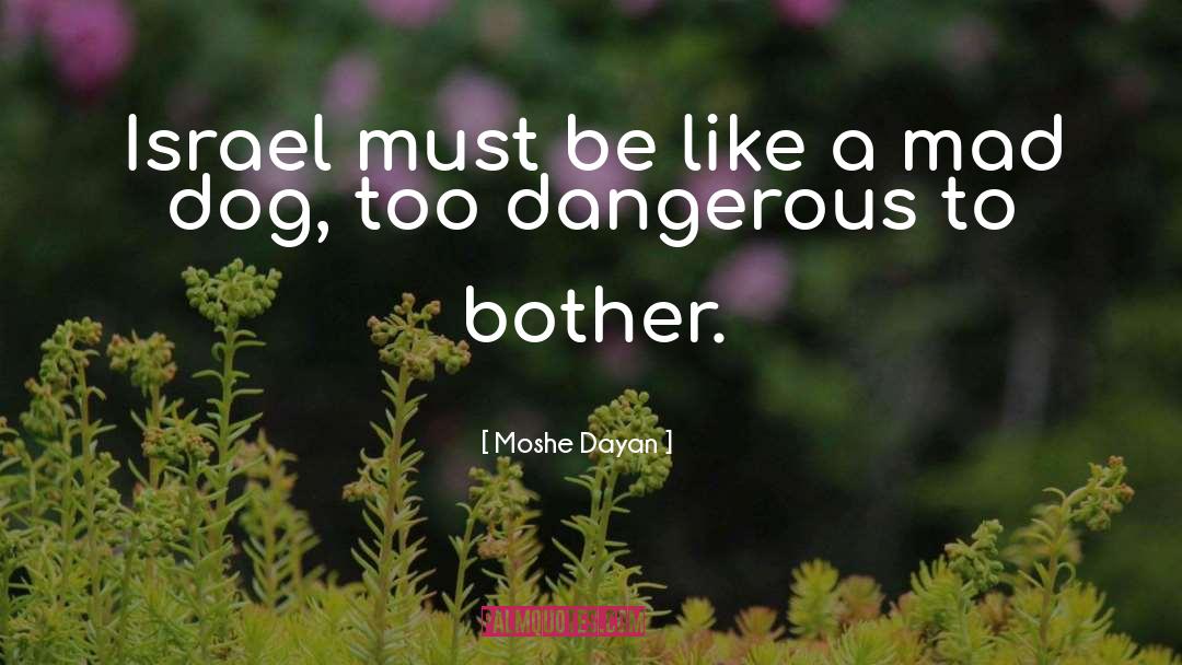 Moshe quotes by Moshe Dayan