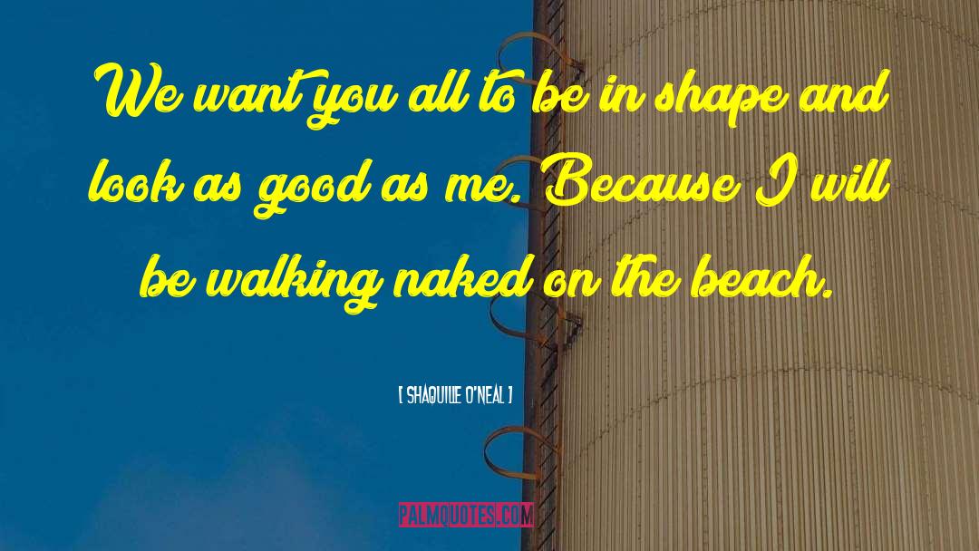 Moshup Beach quotes by Shaquille O'Neal