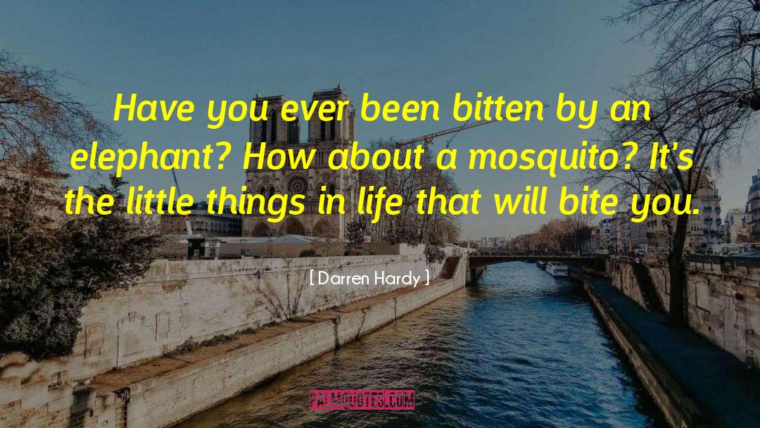 Mosquito quotes by Darren Hardy