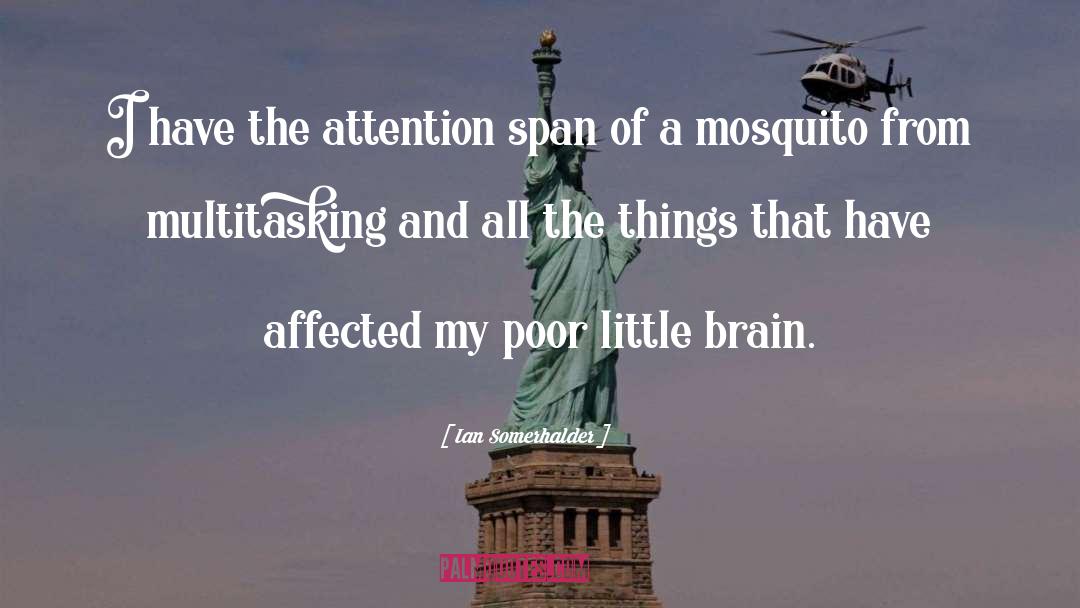 Mosquito quotes by Ian Somerhalder