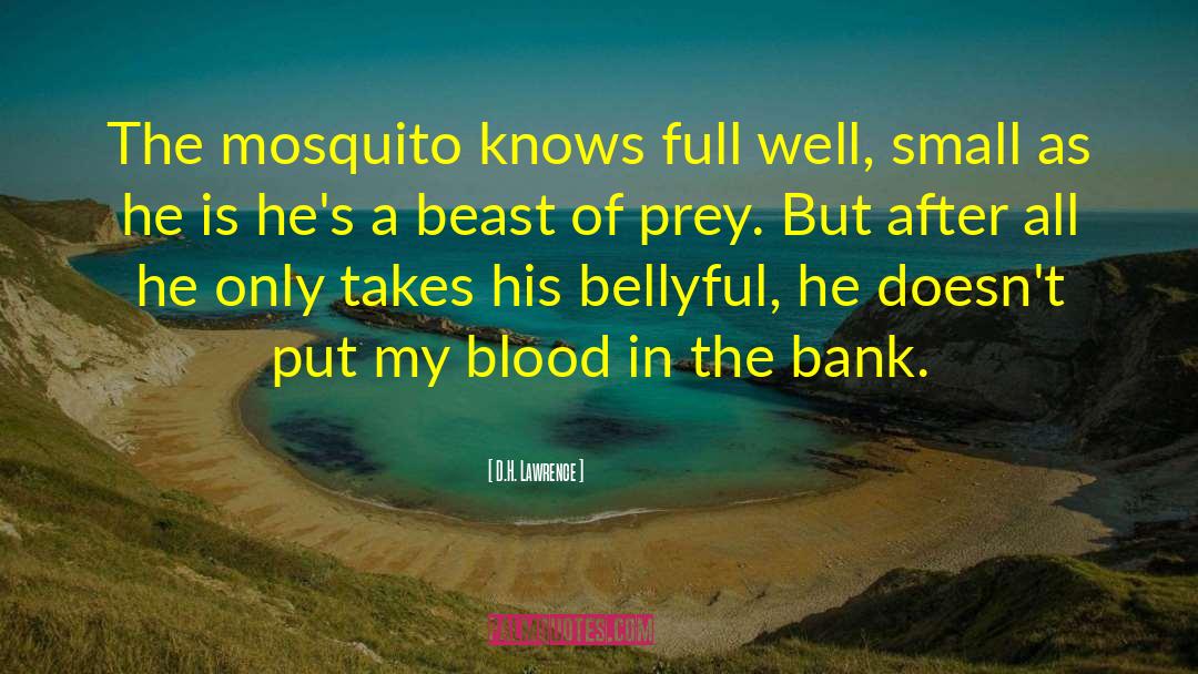 Mosquito quotes by D.H. Lawrence