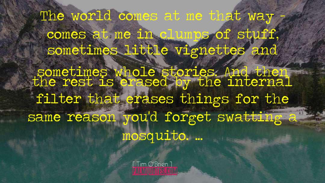 Mosquito quotes by Tim O'Brien