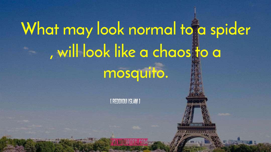 Mosquito quotes by Reddioui Islam