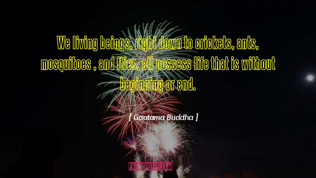 Mosquitoes quotes by Gautama Buddha