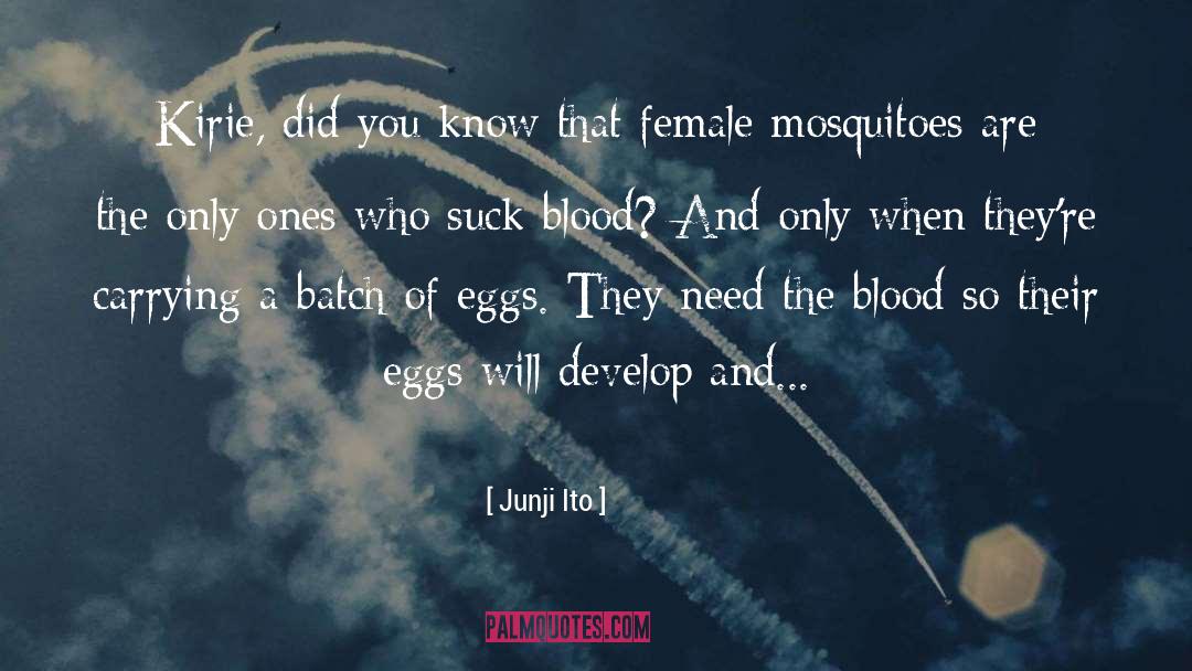 Mosquitoes quotes by Junji Ito