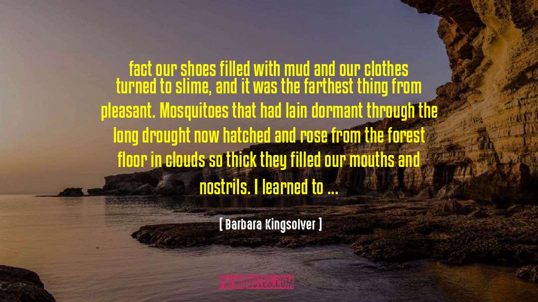 Mosquitoes quotes by Barbara Kingsolver