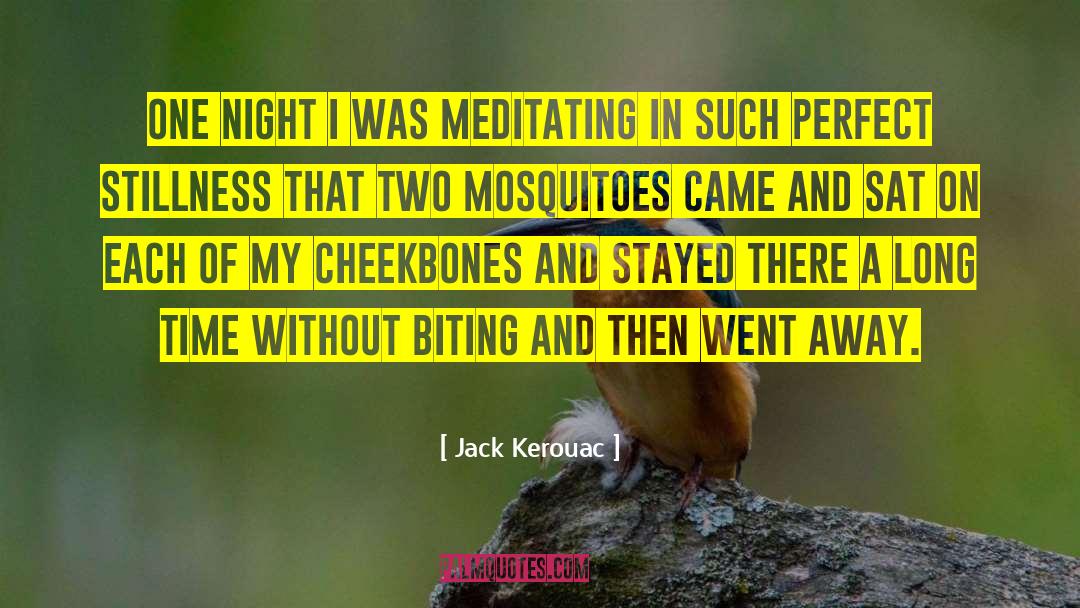 Mosquitoes quotes by Jack Kerouac
