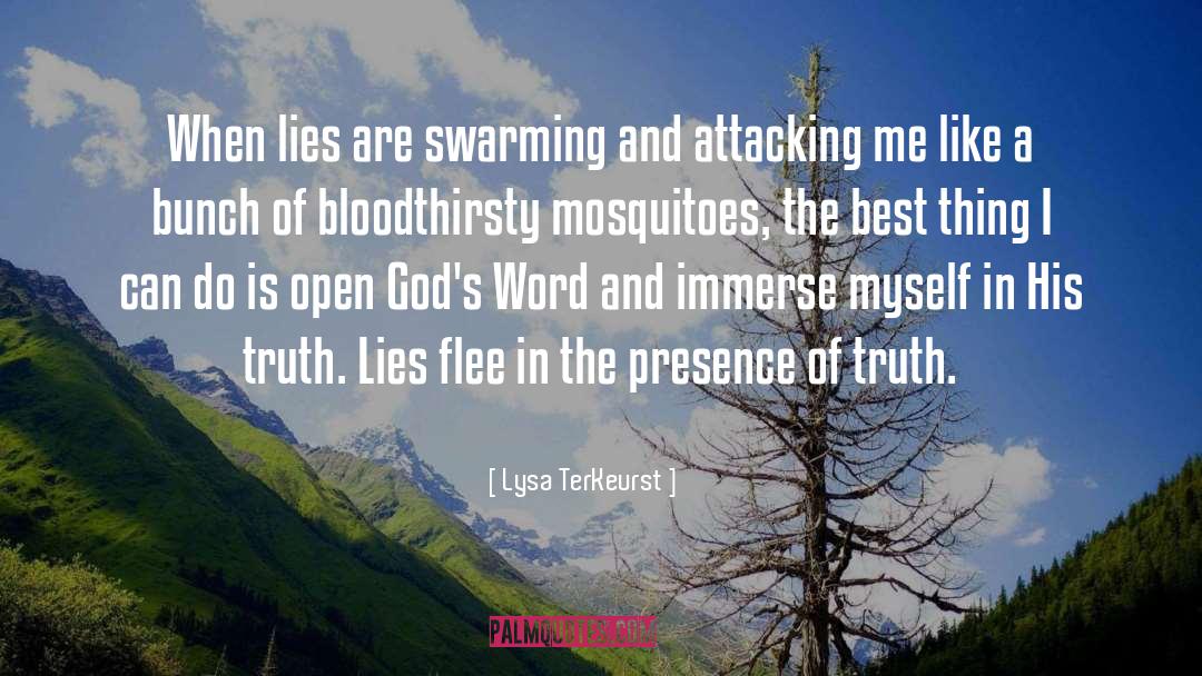 Mosquitoes quotes by Lysa TerKeurst