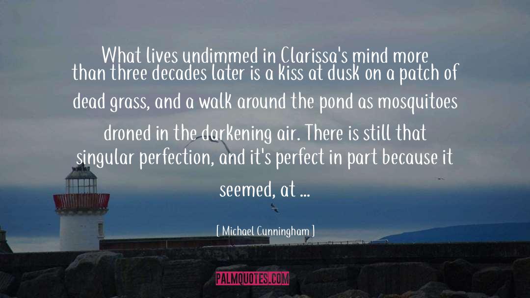 Mosquitoes quotes by Michael Cunningham
