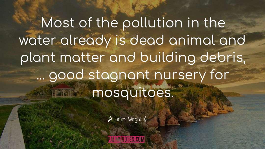 Mosquitoes quotes by James Wright