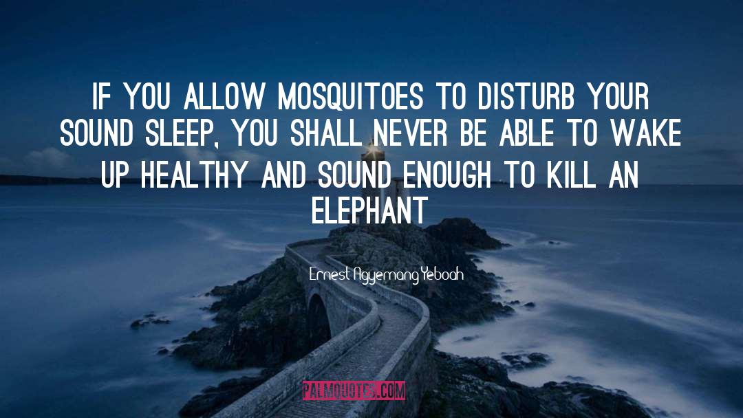 Mosquitoes quotes by Ernest Agyemang Yeboah