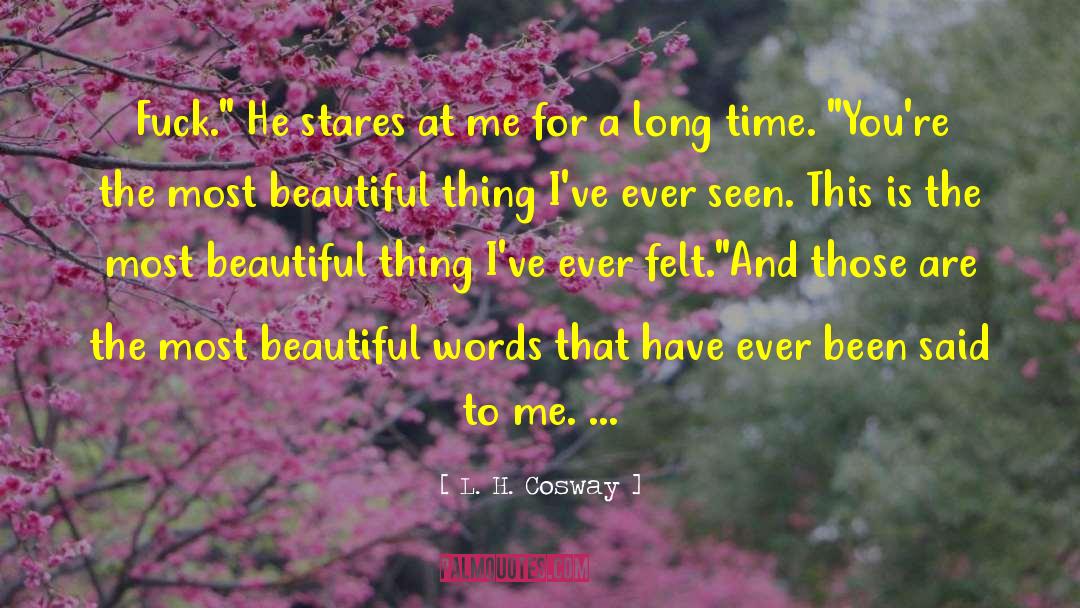 Most Beautiful Thing quotes by L. H. Cosway