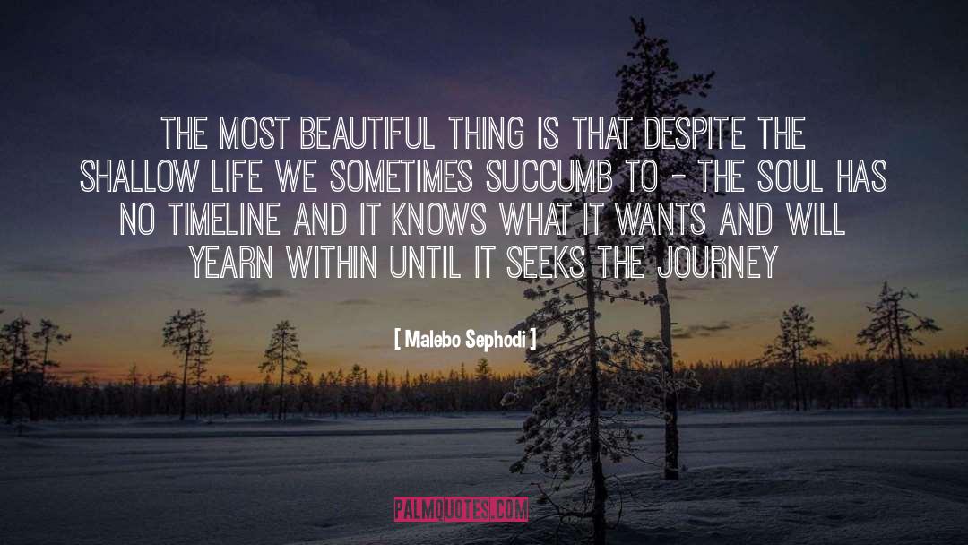 Most Beautiful Thing quotes by Malebo Sephodi