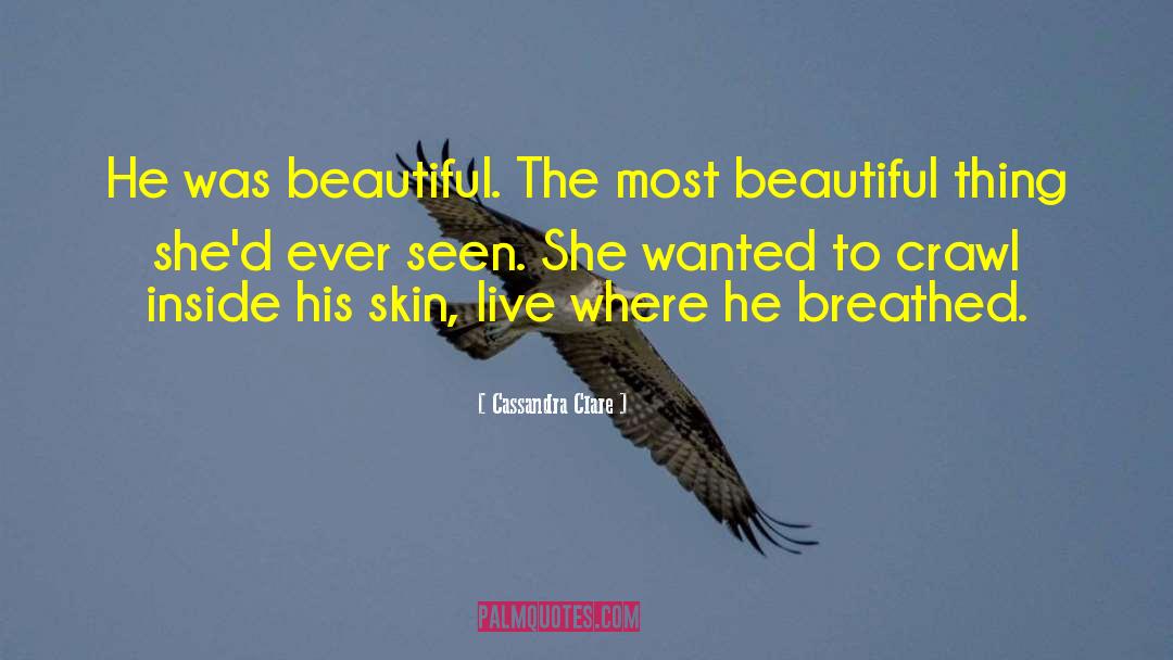 Most Beautiful Thing quotes by Cassandra Clare