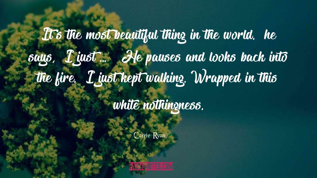 Most Beautiful Thing quotes by Carrie Ryan