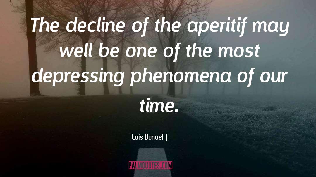 Most Depressing quotes by Luis Bunuel