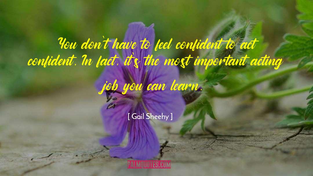 Most Important Job In Life quotes by Gail Sheehy
