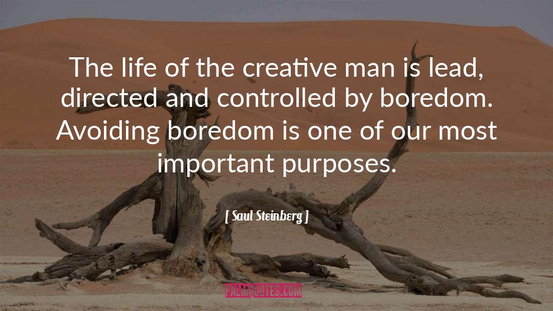 Most Important Person quotes by Saul Steinberg