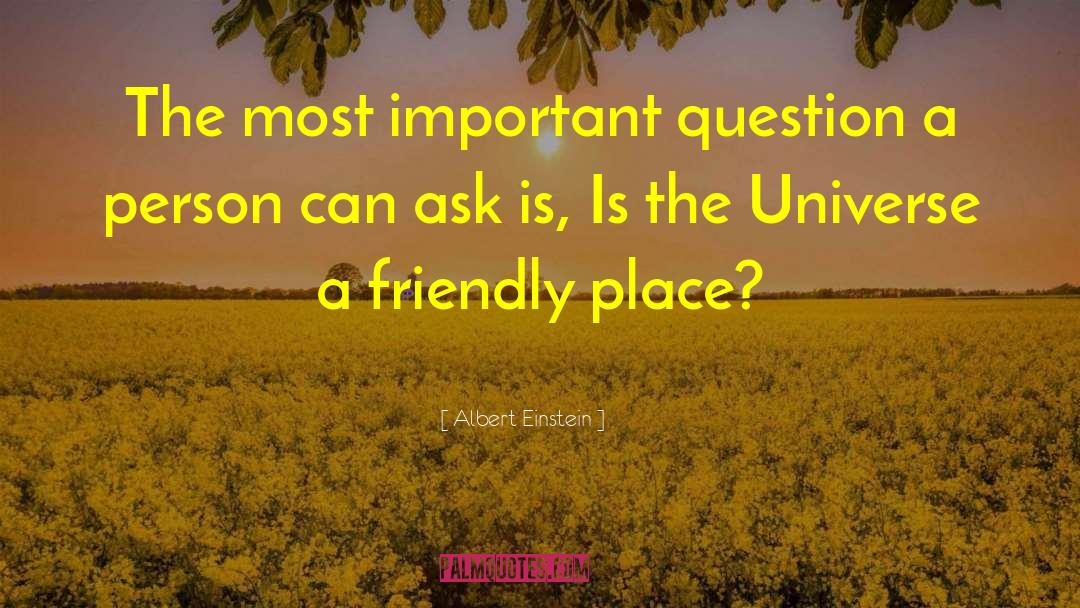 Most Important Question quotes by Albert Einstein