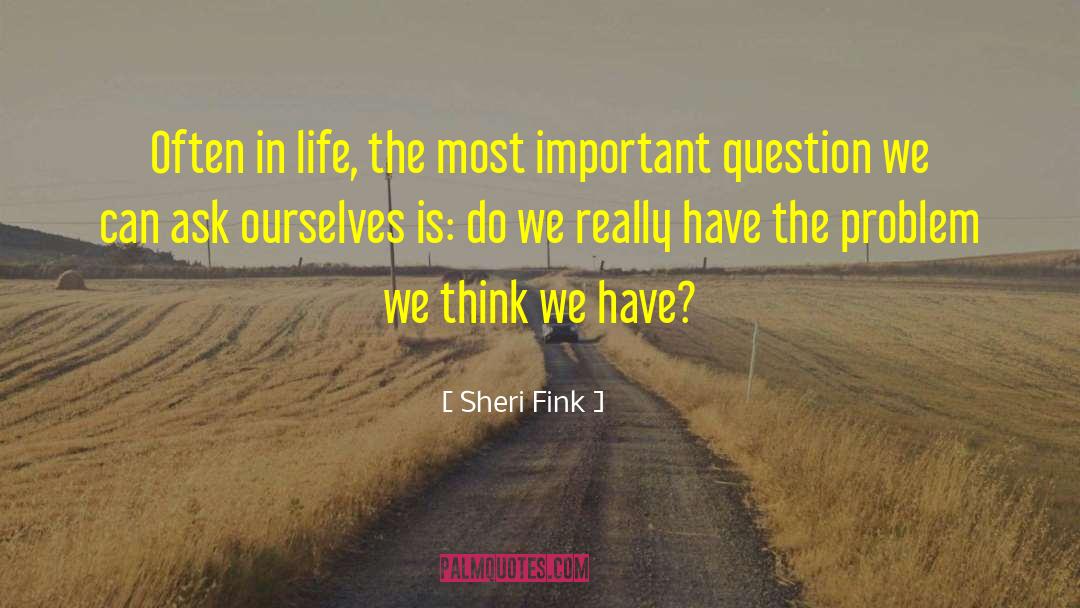 Most Important Question quotes by Sheri Fink