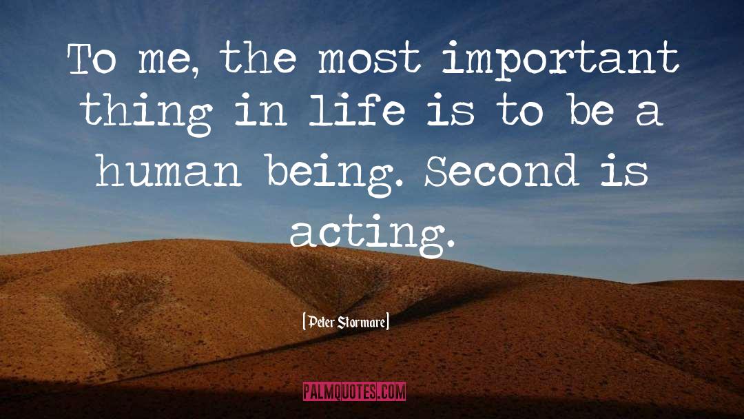 Most Important Things In Life quotes by Peter Stormare