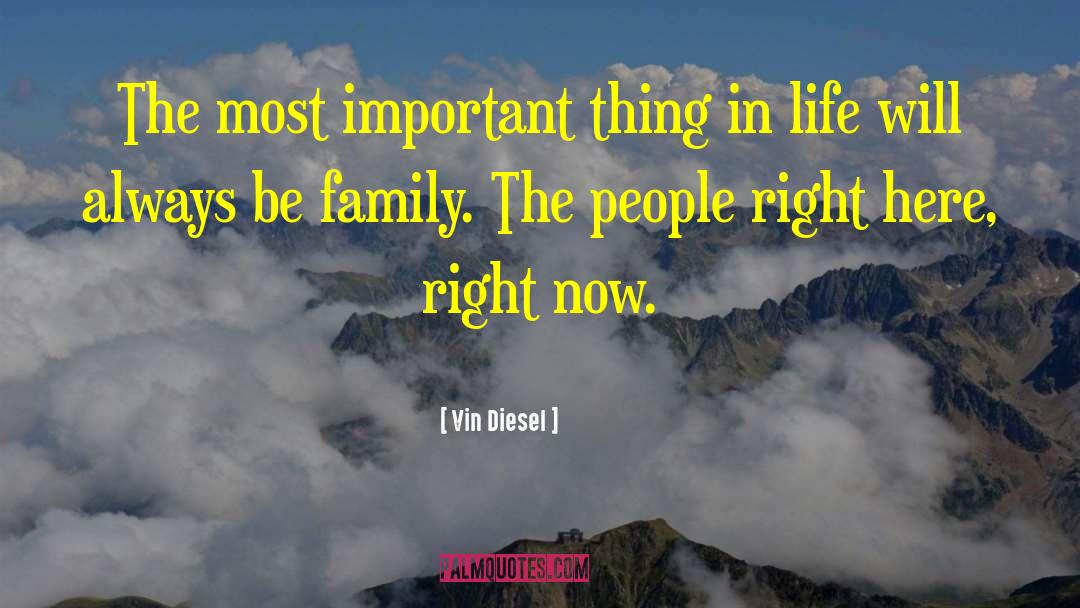 Most Important Things In Life quotes by Vin Diesel