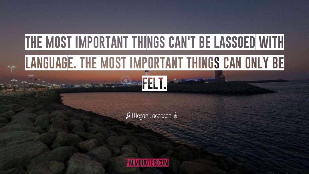 Most Important Things quotes by Megan Jacobson