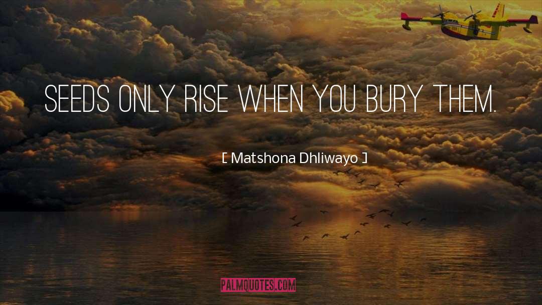 Most Inspiring quotes by Matshona Dhliwayo