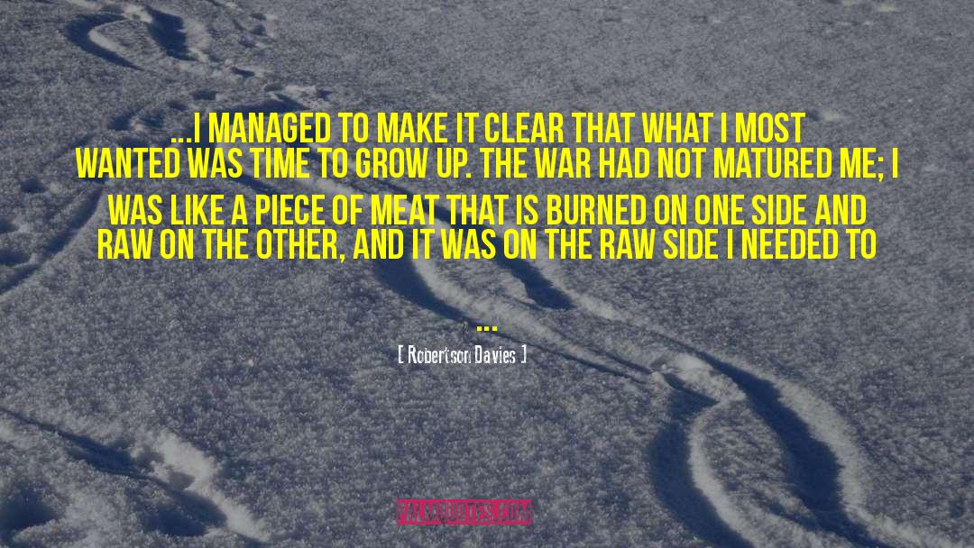 Most Wanted quotes by Robertson Davies