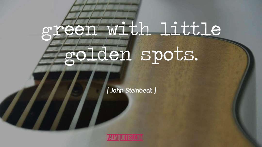 Mostapha Golden quotes by John Steinbeck