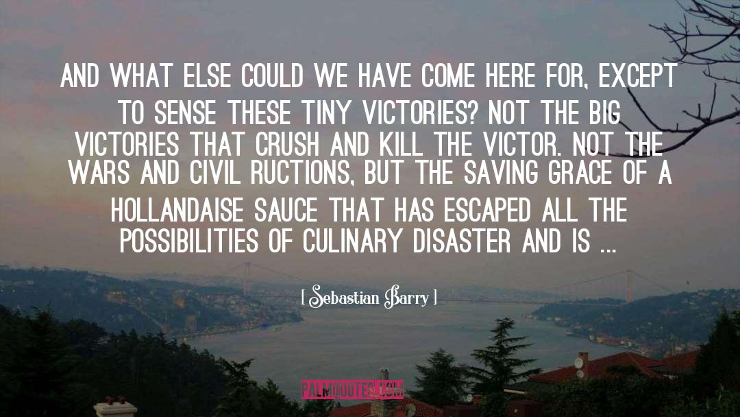 Mostarda Sauce quotes by Sebastian Barry