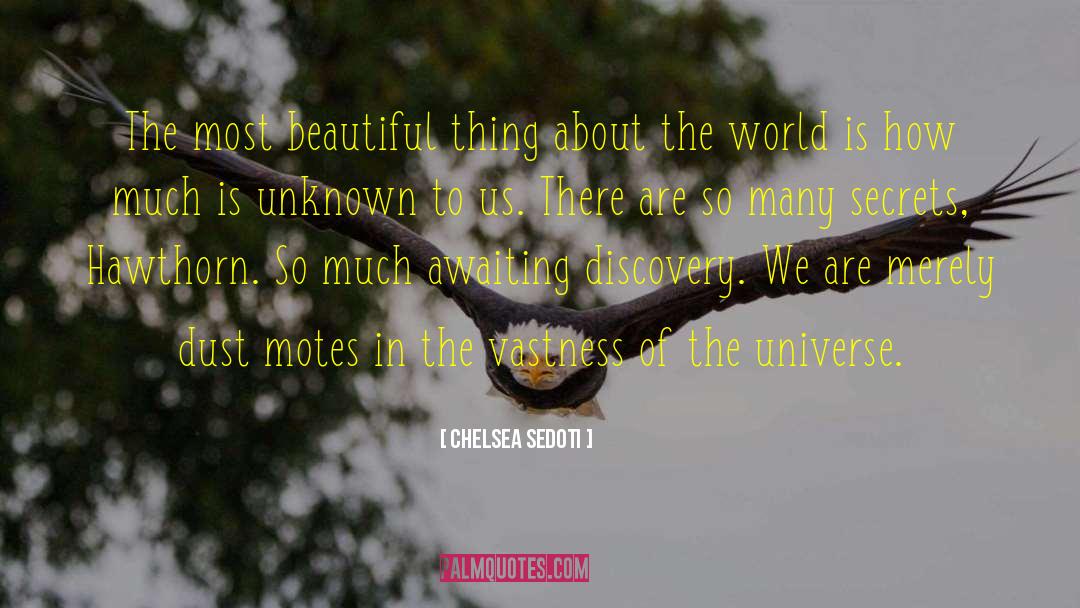 Motes quotes by Chelsea Sedoti