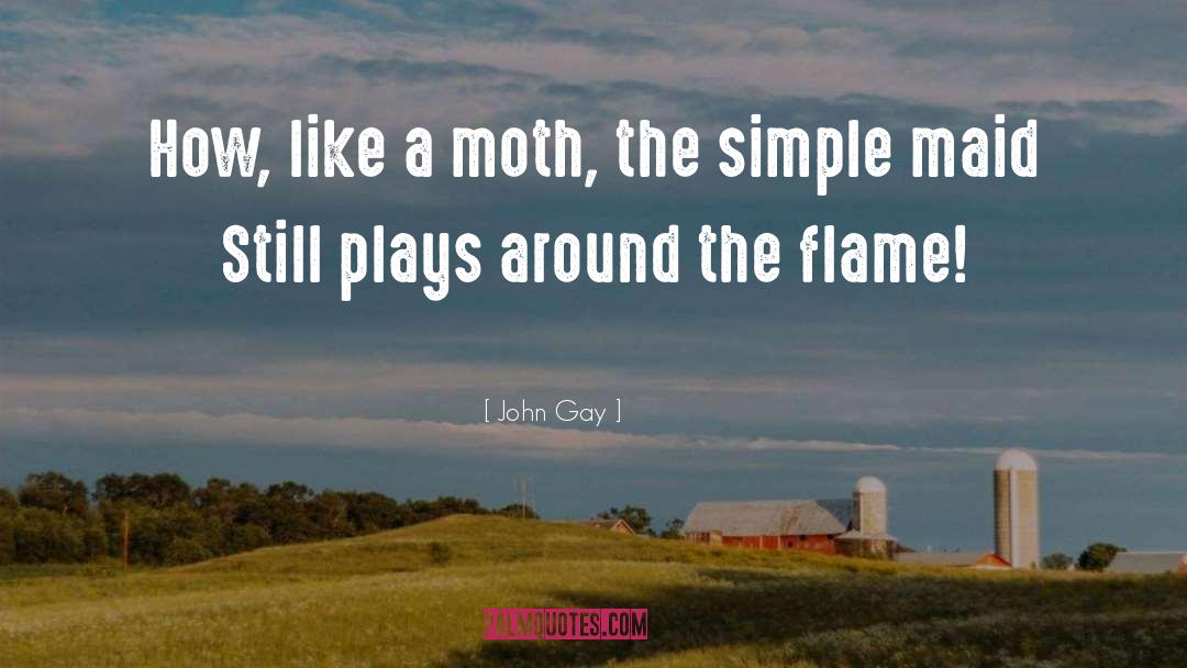 Moth quotes by John Gay