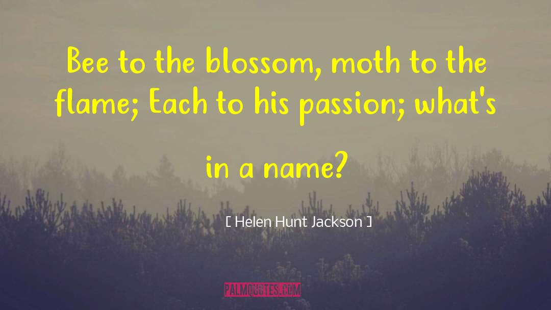Moth quotes by Helen Hunt Jackson