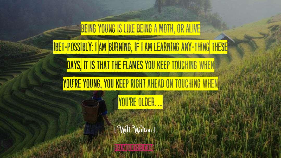 Moth quotes by Will Walton