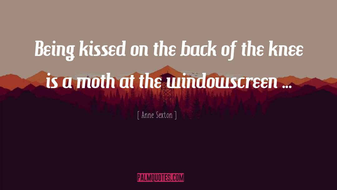 Moth quotes by Anne Sexton
