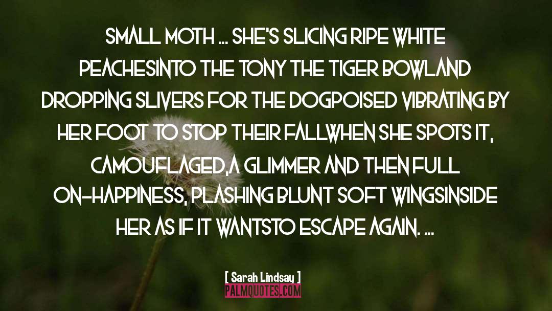 Moth To The Flame quotes by Sarah Lindsay