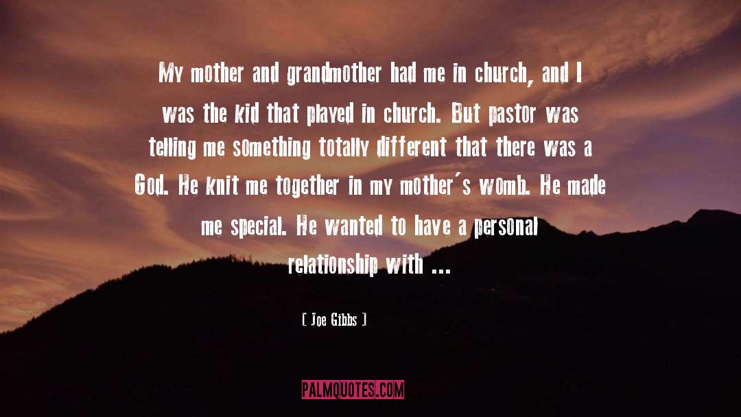 Mother And Grandmother quotes by Joe Gibbs