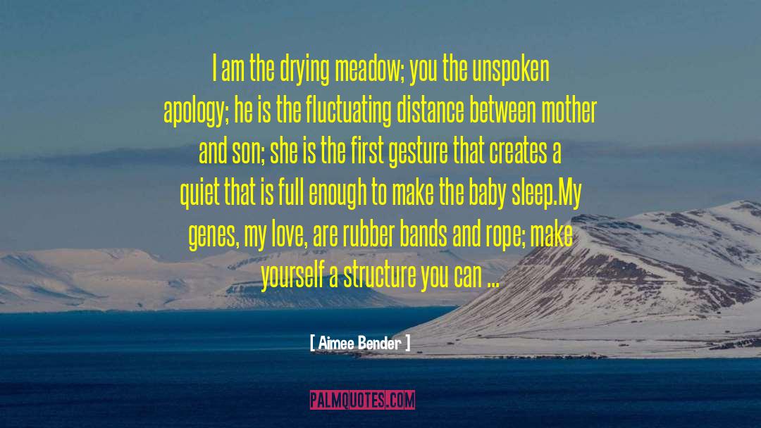 Mother And Son quotes by Aimee Bender