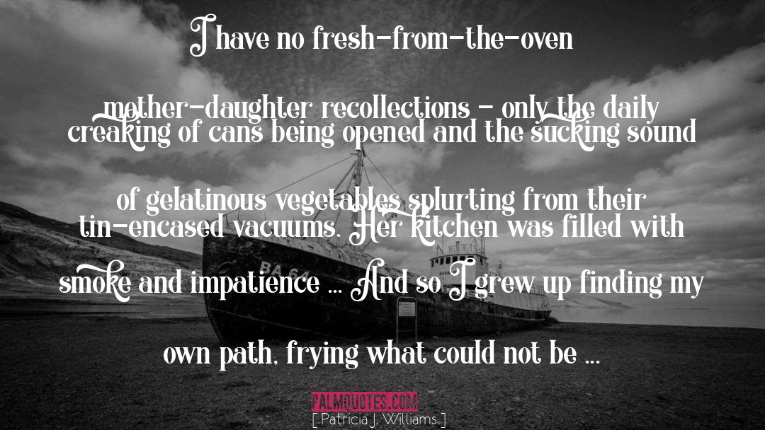 Mother Daughter Relationships quotes by Patricia J. Williams